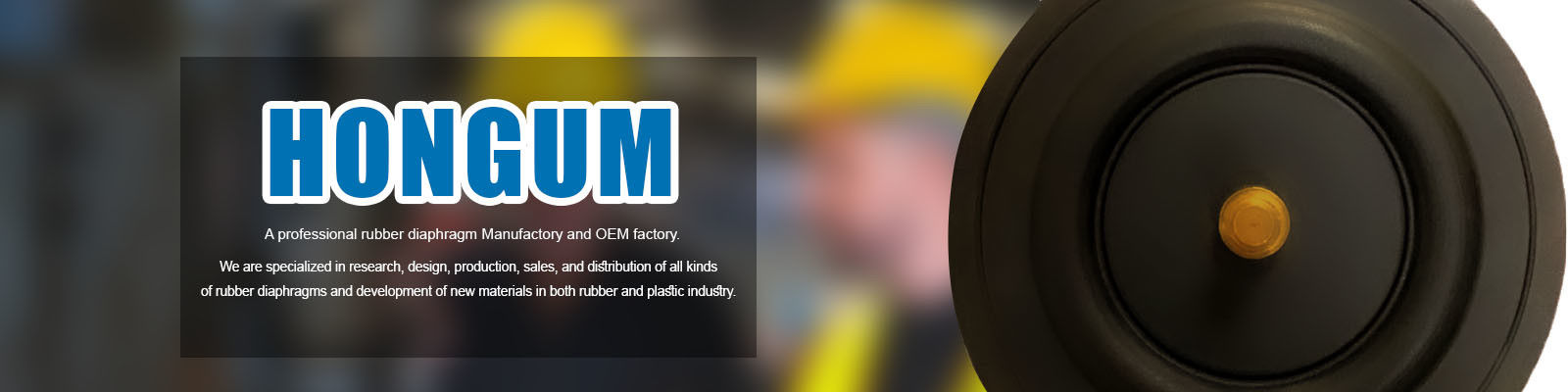 Diafragma Katup Solenoid