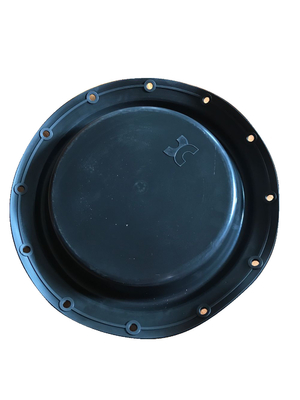 PTFE Tetrafluoro Acid Alkali Resistant Rubber Diaphragm Seals Pump Diafragma