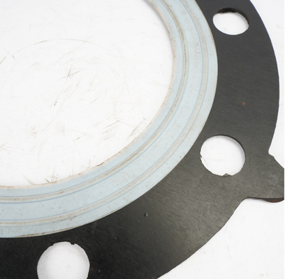 EPDM Rubber Flange Gasket Alkali Resistance untuk Pabrik Farmasi