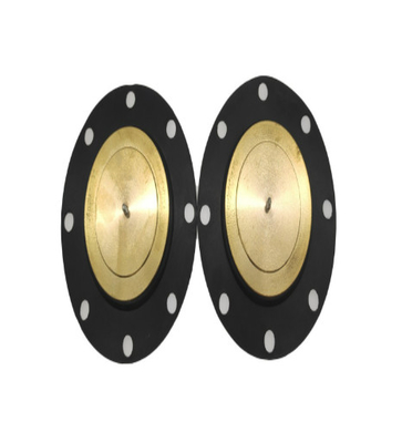 Milton Roy GM Metering Pump Diafragma PTFE Berikat EPDM Gasket