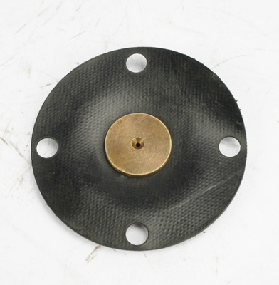 Komposit PTFE EPDM Diafragma Untuk Aquasystem Metering Pump