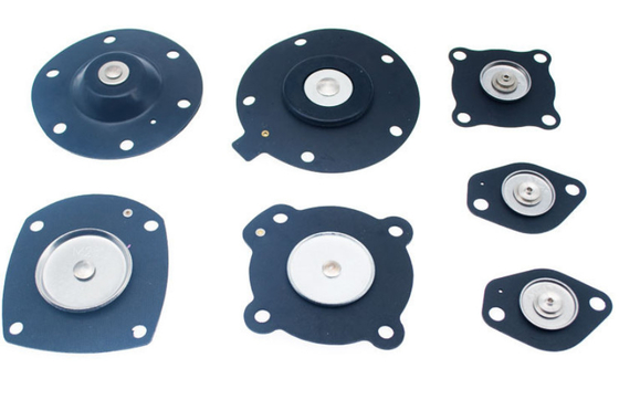 ZBS ZCA Solenoid Valve Diaphragm NBR untuk Perangkat Bag Filter