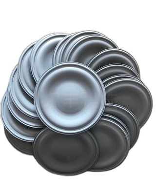 20 Bar PTFE EPDM Metering Pump Diaphragm Untuk Aplikasi Industri