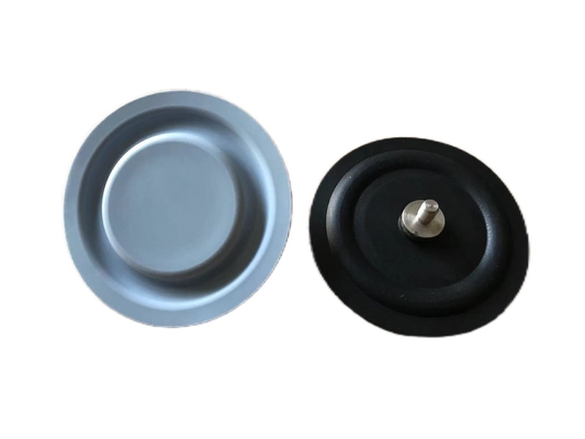 20 Bar PTFE EPDM Metering Pump Diaphragm Untuk Aplikasi Industri