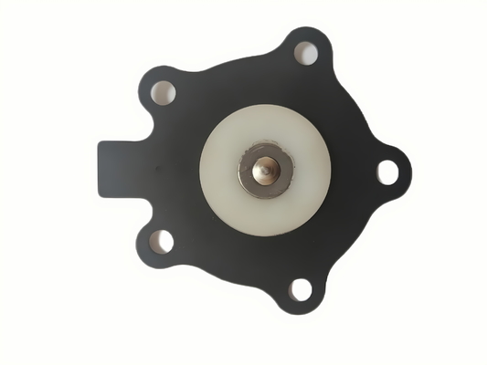 Mudah Pemasangan 14 Inch Solenoid Valve Diaphragm dengan Sekrup-in Mounting Jenis dan Bahan Karet
