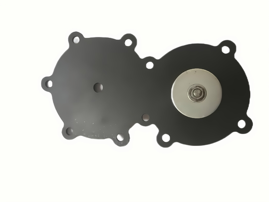 Klep Solenoid Suspensi Udara Hitam untuk Peralatan Precipitator