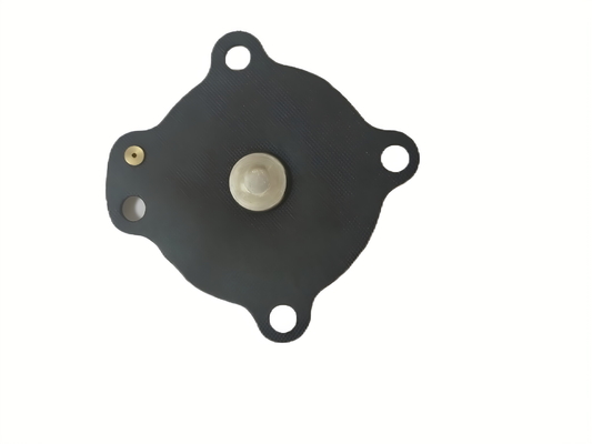 Pengendalian Suhu Dibuat Sederhana Dengan Diafragma Katup Solenoid Hitam Dan Sambungan Berujung