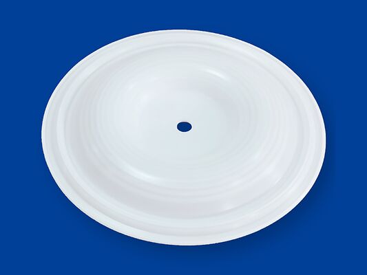 Diafragma Pompa Dosis Berdiameter 50 Mm yang Tahan Lama Dirancang untuk Meningkatkan Efisiensi Pompa dan Mengurangi Frekuensi Perawatan