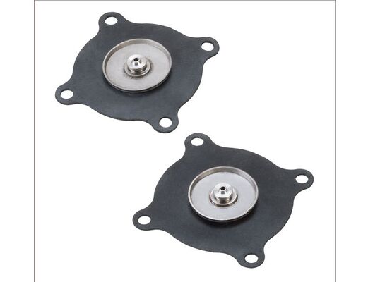 Katup Berdenyut yang Dipoles yang Dibuat dari Bahan Nitril Menawarkan Daya Tahan Unggul dan Akurasi Kontrol Fluida